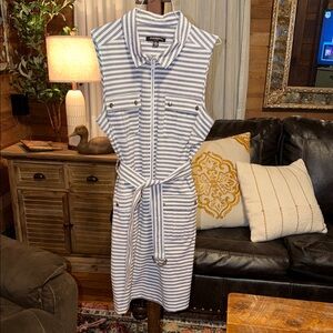 Sharagano Striped Sleeveless Shirt Dress - Blue & White
